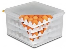 Контейнер для хранения яиц APS с крышкой