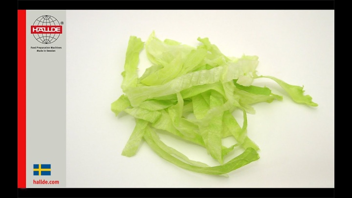 Lettuce slice 10 mm