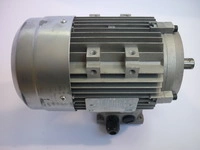 Мотор GAM для S20 RG101075