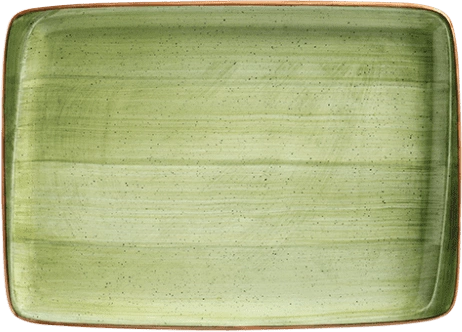 Блюдо прямоугольное BONNA Аура Терапи ATHMOV26DT фарфор L=23, B=16 см, зеленый