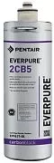 Префильтр EVERPURE 2CB5 5micron carbon