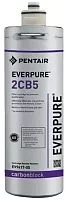 Префильтр EVERPURE 2CB5 5micron carbon