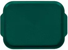 Поднос столовый мки028, 450х355 мм с ручками зеленый
