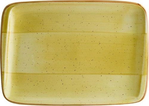 Блюдо прямоугольное BONNA Амбер Аура AARMOV26DT фарфор, 23х16 см, желтый