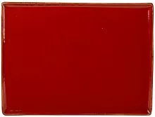Блюдо прямоугольное PORLAND Seasons 358819 фарфор, L=18, B=13 см, красный